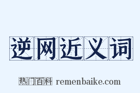 逆网近义词是什么意思的图片